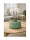 Stewehome Decorative Concrete Pot Cactus Succulent Bonsai Green 15x10 Cm
