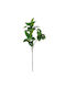 Artificial Decorative Branch Ficus Iliadis