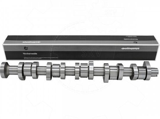 Ax Excentrici VW Transportator T5 Multivan T5 Touareg California T5 070109101q