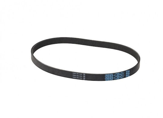 Curea Micro-v Citroen Berlingo 08 6pk905s 1678169580