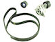 Curea Micro-v Renault Maestru 98 2.2-2.5dci Set 6pk1795 7701475628