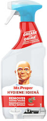 Mr. Proper Allzweckreiniger Spray Allgemeine Verwendung 750ml