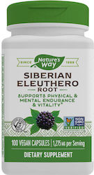 Nature's Way Siberian Eleuthero Nature's Way 100 Capsules