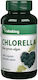 Vitaking Chlorella Blaugrüne Algen 500 Mg Vitaking 200 Tabletten