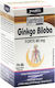 Jutavit Ginkgo Biloba Forte 80 Mg Softgel Jutavit 70 Softgels