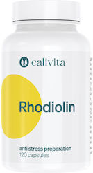 Calivita Rhodiolin Calivita 120 Капсули Calivita Rhodiolin Calivita 120 Капсули