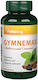 Vitaking Gymnemax + Mulberry Cinnamon 750 Mg Vitaking 60 capsule