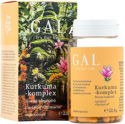 Gal Куркума-комплекс Gal 60 Капсули Gal Куркума-комплекс Gal 60 Капсули