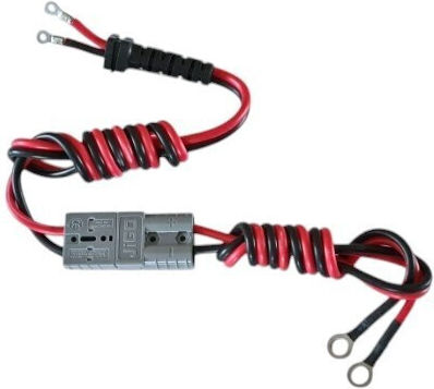 Haswing Cayman-b 55 24000959 Battery Cable for Electric Motor