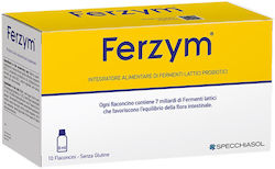 Natur Tanya S. Ferzyme Darmflora Ergänzung mit Probiotika 10 x 8ml