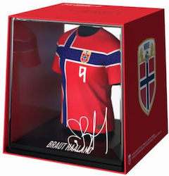 FanCollex Football World Cup 2026 Replica