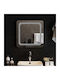 vidaXL Oglindă de baie Led 50x50cm Transparent