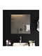 vidaXL Badezimmerspiegel Led 60x60cm Transparent