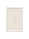 Focus Plastic Photo Frame with White Frame