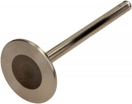 Mercedes M102 1 8/2 0 1020500426 Intake Valve