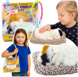 Lean Toys Kitten