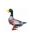 Decorative Duck Made of Metal 31x14x33.5cm