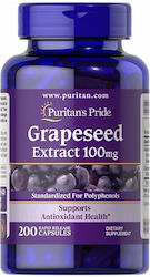 Puritan's Pride Grapeseed Extract 100 Mg Puritan's Pride 200 Capsules Puritan's Pride Grapeseed Extract 100 Mg Puritan's Pride 200 Capsules