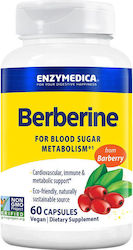 Enzymedica Berberine Enzymedica 120 Capsules