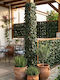 Foliage artificială în rolă 3x1m