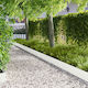 vidaXL Metal Garden Hedge in White Colour 1.02m...