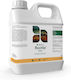 AltincoAgro Rootip Λίπασμα 5lt
