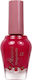 Alezori Glossy Nail Polish Quick Dry Bouqanvilia 15ml