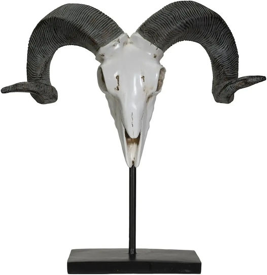 Decorativ Ram Decorative Skull 29,5cm 13738