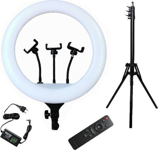 SPV Ring Light 58cm με Τρίποδο Δαπέδου και Βάση για Κινητό