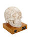 Pacific Decorative Table Lamp 19x16cm