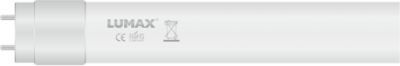 Best Service LED Bulb 10W Fluorescent Type 60cm And T8 Shape Natural White 900 Lumen