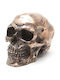 Pacific Decorative Polyresin Figure 12x10.5x8cm