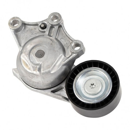 Micro-v Belt Tensioner Citroën Berlingo 08 1.6 Hdi 1631481580