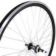 Saks 24"