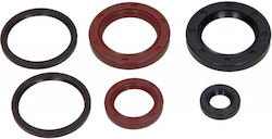 Set Kituri De Etanșare A Arborelui Cotit Pentru Motociclete Complet Motor Ulei Kymco Downtown Abs 300 2009-2011 5 Piese