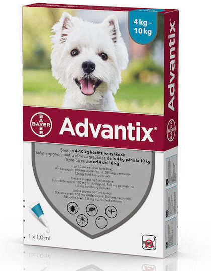 Elanco Multivitamine Hund 1ml für Haut & Haar