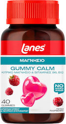 Lanes Gummy Calm 40 ζελεδάκια Lanes Gummy Calm 40 ζελεδάκια