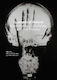 Biomedical Visions: Epistemology, Medicine And Art Practice Hatje Cantz