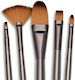 Set 5 Piese Pensule De Pictură Filbert