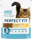 Whiskas Dry Cat Food For Kittens With Chicken 0.1kg