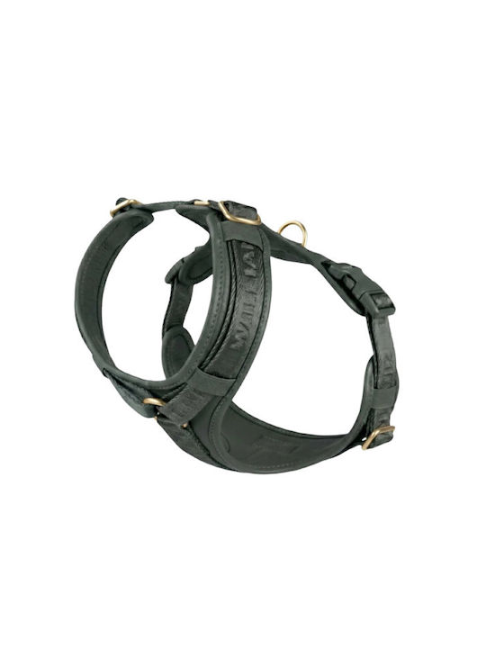 William Walker Кожен Кучешки Повод Plain Premium Зелен Y-Harness Мек Кожен M 54-76cm
