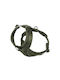 William Walker Hundegeschirre Apex Y Grün Leichtes Mesh & Neopren M 54-76cm
