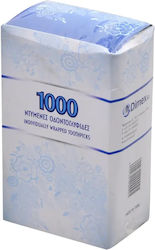 Simple Packaged Toothpicks 1000pcs