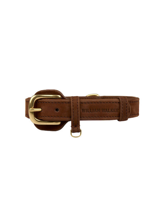 William Walker Wasserfest Leder Hundehalsband Nubuck Braun Heritage Collection XSklein 25cm