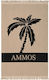 Bluepoint Black Beach Towel 180x100cm