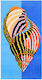 Aquablue Beach Towel Cotton Light Blue 152x76cm
