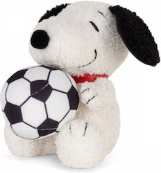 Bonton Puppy