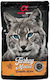 Alpha Spirit Wet Food for Adult Cats with Turkey Meat Liver and Pumpkin Grain Free & Gluten Free 85gr