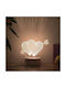 Decorative LED Light 3D Illusion