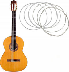 Set Für 6 Saitenklassische Gitarre Zola Größen 0.28 0.29 0.32 0.35 0.40 0.43 3 Silberbeschichtete Wicklung 3 Ohne Transparente Wicklung Länge 105 Cm Silberfarben
